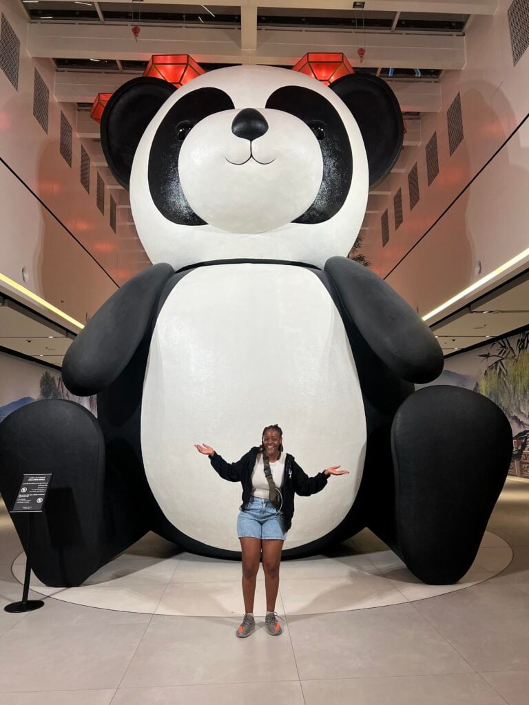 Inside Dubai Mall